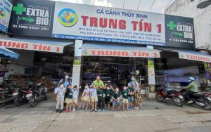  Cá Cảnh Thuỷ Sinh Trung Tín – Cửa Hàng Thuỷ Sinh TPHCM Uy Tín 