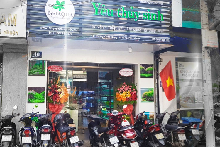  Yêu Thuỷ Sinh – Cửa Hàng Thuỷ Sinh TPHCM Chất Lượng 