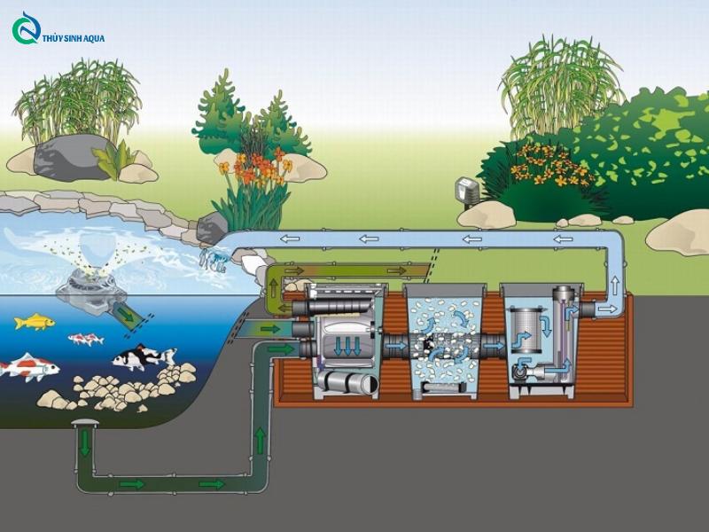 Nguyên lý hoạt động của Hạt Kaldnes – Vật liệu lọc nước hồ thủy sinh như thế nào ?