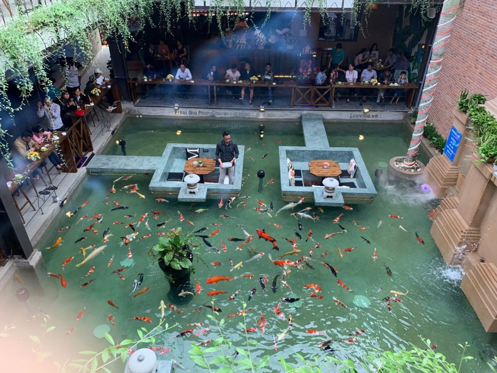 Quin Koi Coffee Garden