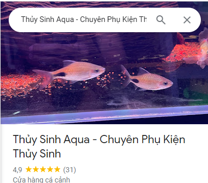 cửa hàng cá cảnh thủy sinh aqua